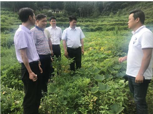 胡时友书记听取箐门村驻村第一书记汇报