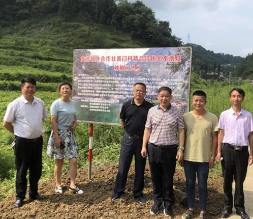 管理区党工委副书记林江（左三）陪同考察