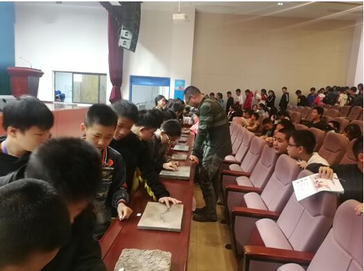 学生们有序观摩化石标本