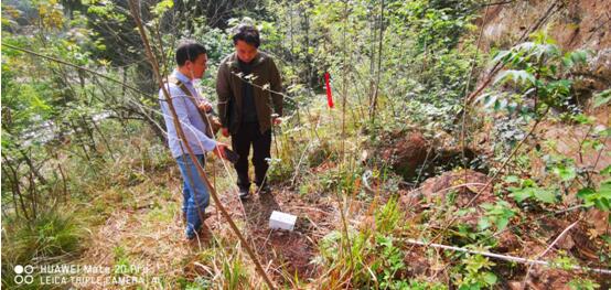 南充市嘉陵区曲水镇滑坡现场检查指导拉线式裂缝计科学安装